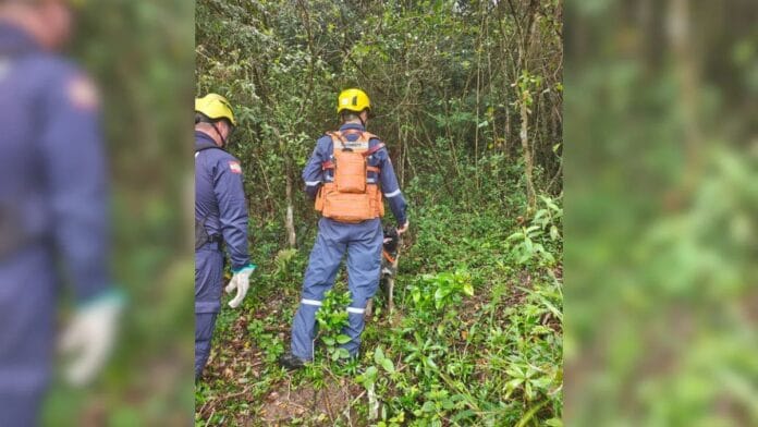 Foto mostra bombeiros e o cachorro na rua nas buscas pelo homem desaparecido em Florianópolis