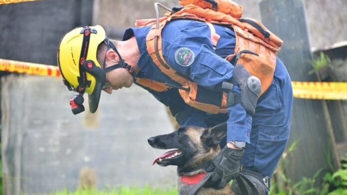 Bombeiro com cachorro