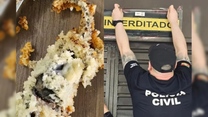 Cliente come bolo com rato morto, polícia prende dona de loja e fiscalização revela fezes de roedor em estabelecimento