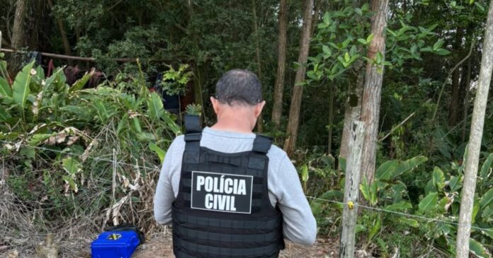 Morador encontra três corpos carbonizados em área de mata em SC