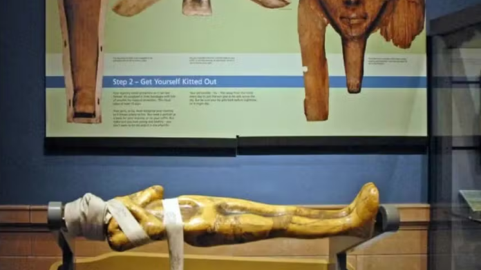 Falta de “consentimento” dos mortos faz museu tirar múmias de exposição
