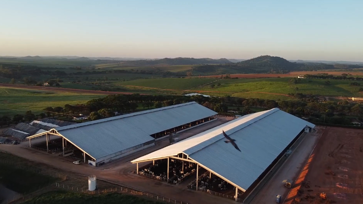 A propriedade paulista investe em tecnologia e infraestrutura para aumentar a produção de leite nos próximos anos (Reprodução: Fazenda Bela Vista/ YouTube)