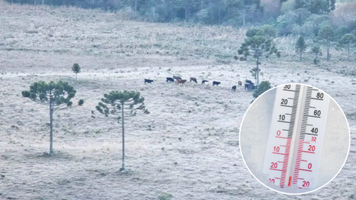 Massa de ar frio avança sobre SC e traz risco de geada e mínimas de -2°C em duas regiões do estado
