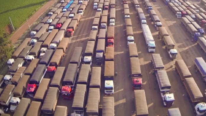 Os concorrentes que viraram sócios: a história por trás da maior transportadora de grãos do país