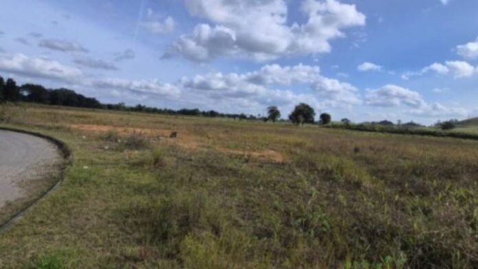 Foto do terreno do leilão em Araquari