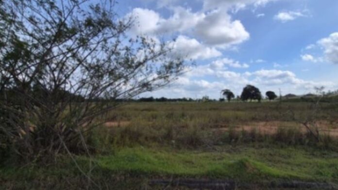 Foto do terreno do leilão em Araquari