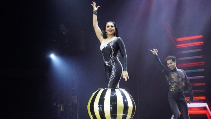 Circo de Marcos Frota volta a Joinville em nova temporada e com atrações inéditas; veja local, data de estreia e preços dos ingressos