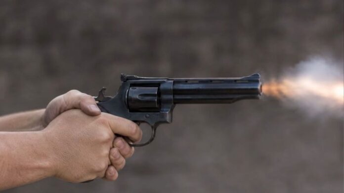 Porte de arma de fogo pode ser liberado para mais profissões em todo o país; veja quais