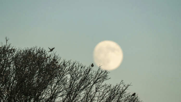 Qual a fase da Lua hoje? 02/10/2026