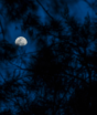 Qual a fase da Lua hoje? 18/10/2026