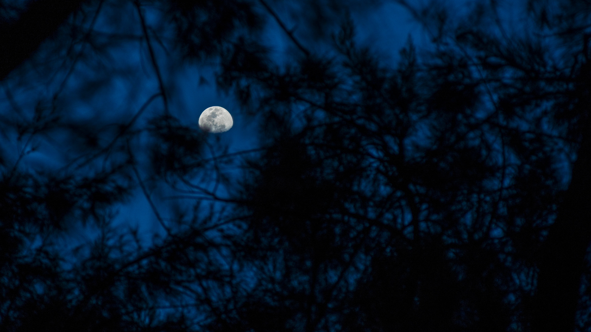 Entenda: Qual a fase da Lua hoje? 29/10/2026