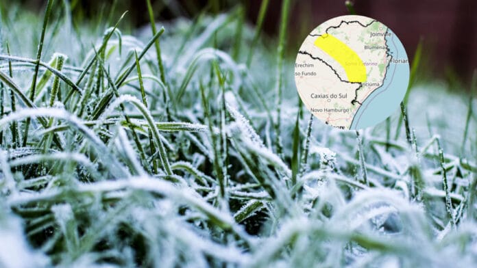 Região Sul entra em alerta para geada com mínima de 3°C nesta terça em plena primavera