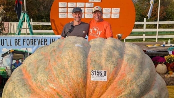 Abóbora gigante de 1.432 kg pode bater recorde mundial e produtor conta como conseguiu cultivar um vegetal tão pesado