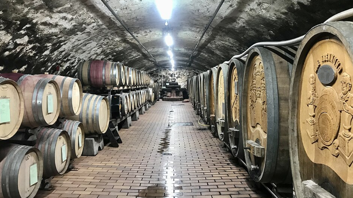 A enologia é a ciência que estuda todos os aspectos relacionados ao vinho e à sua elaboração (Foto: Mariana Senkiv / Wikimedia Commons)