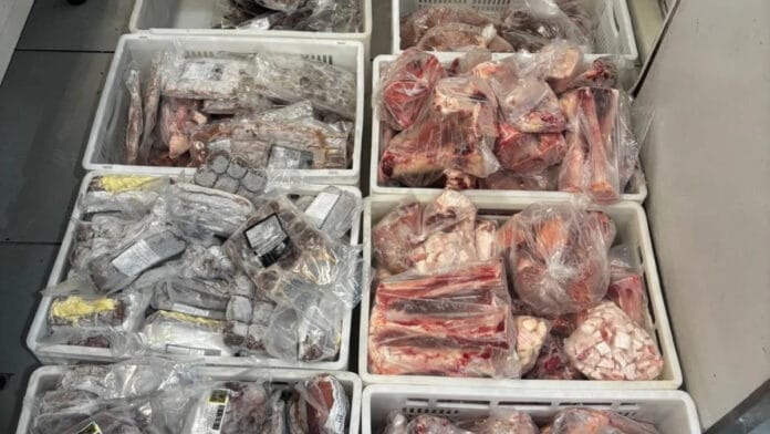 Hortifruti vendia carne vencida e 249 quilos vão para o lixo após fiscalização em Florianópolis