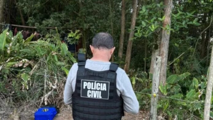 Três corpos carbonizados encontrados em SC podem ser de irmãos; mãe relata ter ouvido tiros