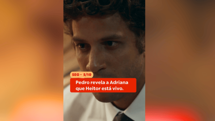 destaques da semana de Quem Ama Cuida