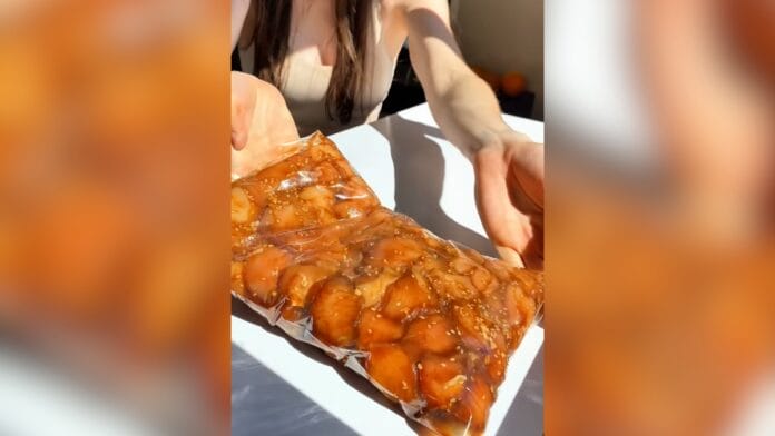frango à marinada dentro de um saco  plástico