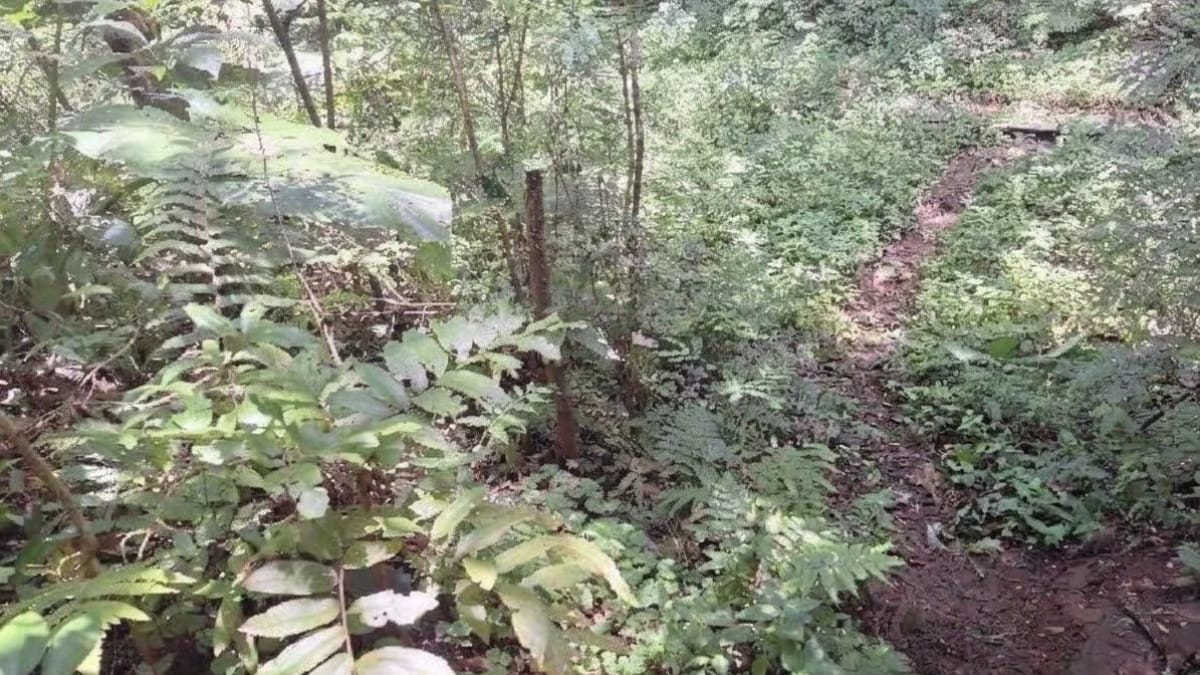 Homem sai para pescar, encontra corpo caído a poucos metros de estrada em SC e morte vira mistério para autoridades policiais