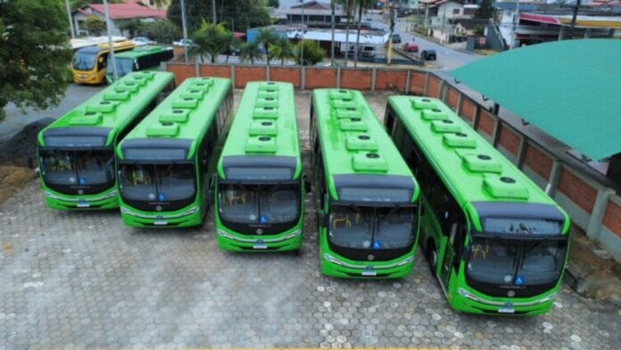 Novos ônibus com ar-condicionado elétrico passam a circular na cidade dos bilionários em SC