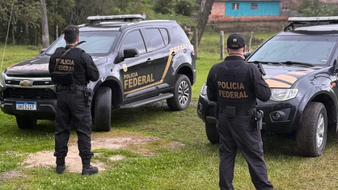 Policial da PRF é afastado por suspeita de receber dinheiro por cargas de madeira ilegal em SC