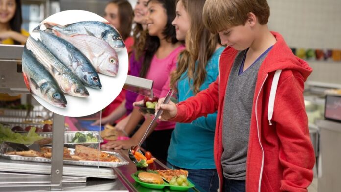 Peixe no lanche escolar; entenda o que muda e quando entra em vigor nova regra aprovada pela ALESC