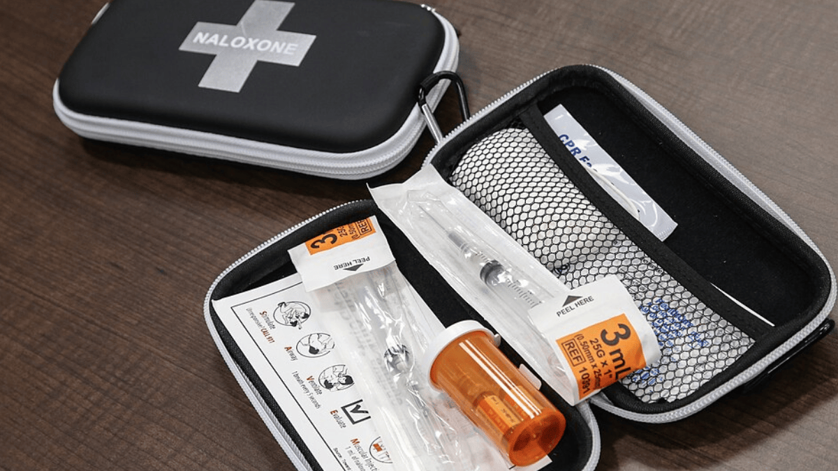 Naloxona foi usada para bloquear receptores opioides e reduziu a frequência das vocalizações associadas ao chocolate (Imagem: New Brunswick / Nouveau-Brunswick / Wikimedia Commons)