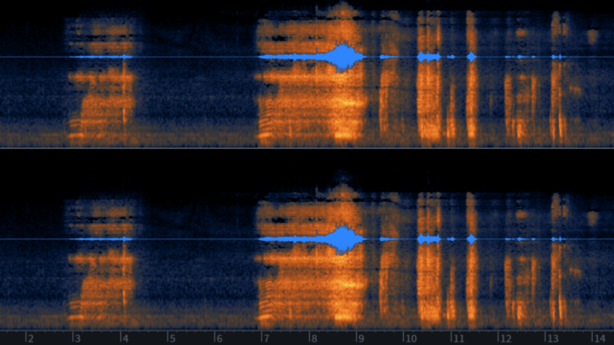 Espectrogramas transformam sons em padrões visuais e permitem comparar mudanças de frequência ao longo do tempo (Imagem: Daniel Hilse / Wikimedia Commons)