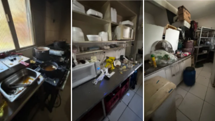 Restaurante de delivery infestado de baratas em Balneário Camboriú driblava vigilância com fakes e acaba condenado