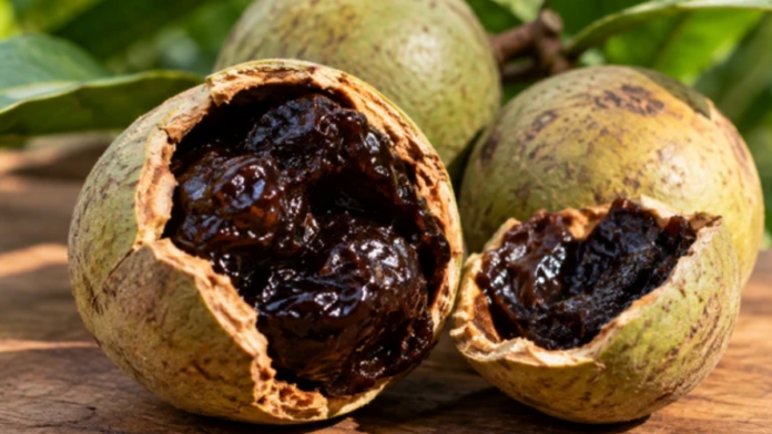 Fruta nativa desconhecida tem casca dura, polpa quase preta, gosto de caramelo e surpreende pelo sabor