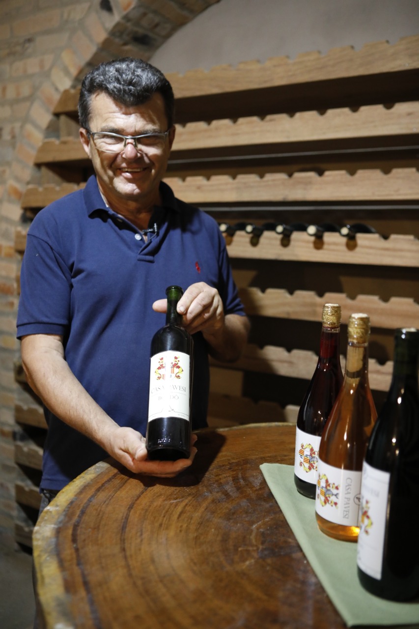 Primeira produção de vinhos ocorreu em 2016 e chegou a 40 garrafas