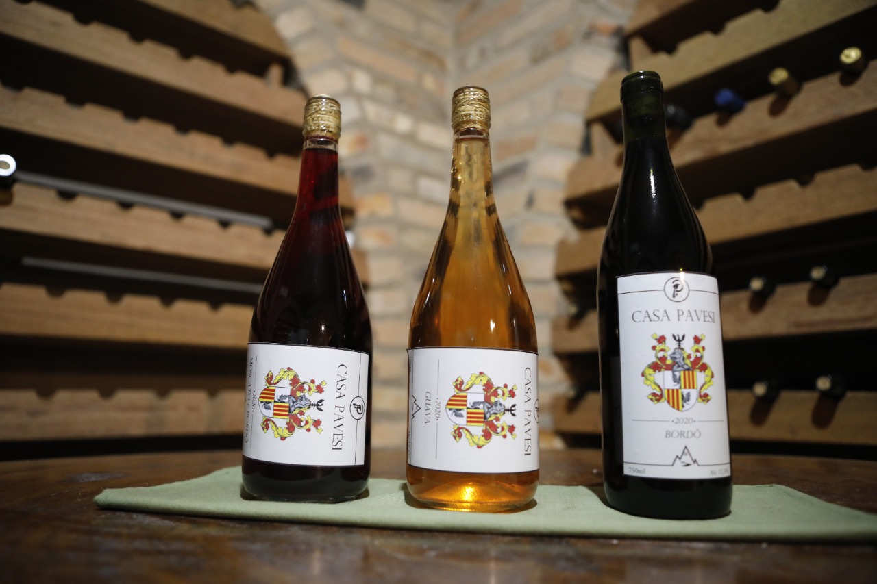 Atualmente três tipos de vinho são produzidos pela família Pavesi
