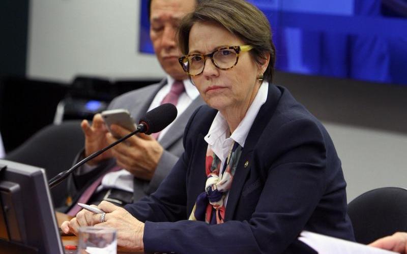 PP diz que Tereza Cristina não será candidata a vice e contraria Flávio Bolsonaro