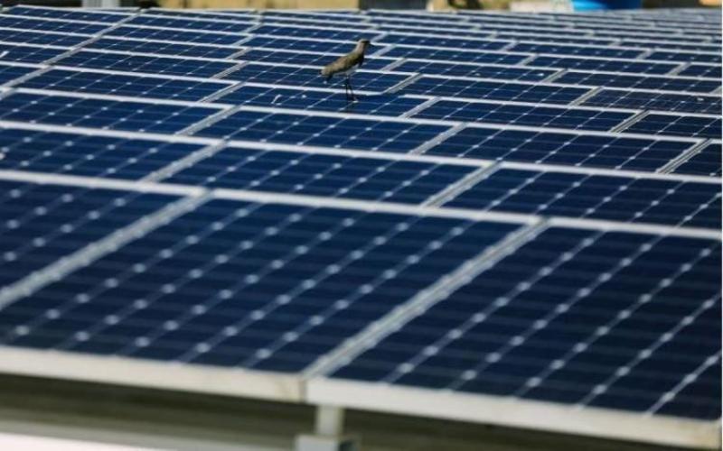 placas de energia solar